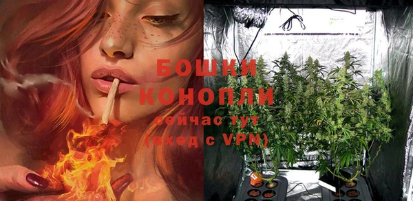 скорость Гусь-Хрустальный