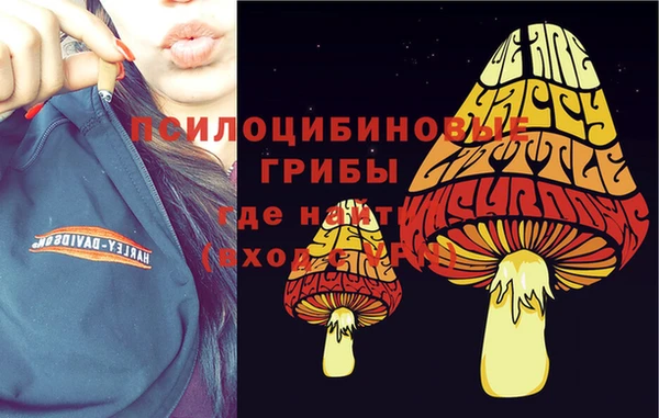 2c-b Гусиноозёрск