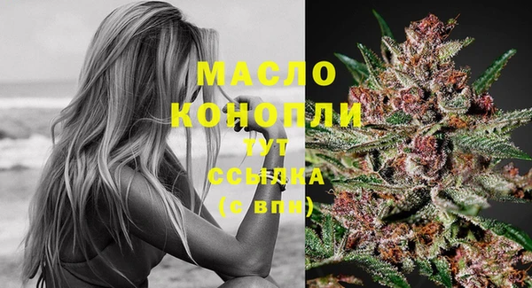 мяу мяу мука Гусев