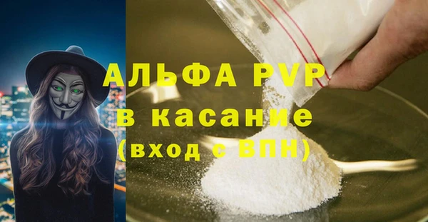 мяу мяу мука Гусев